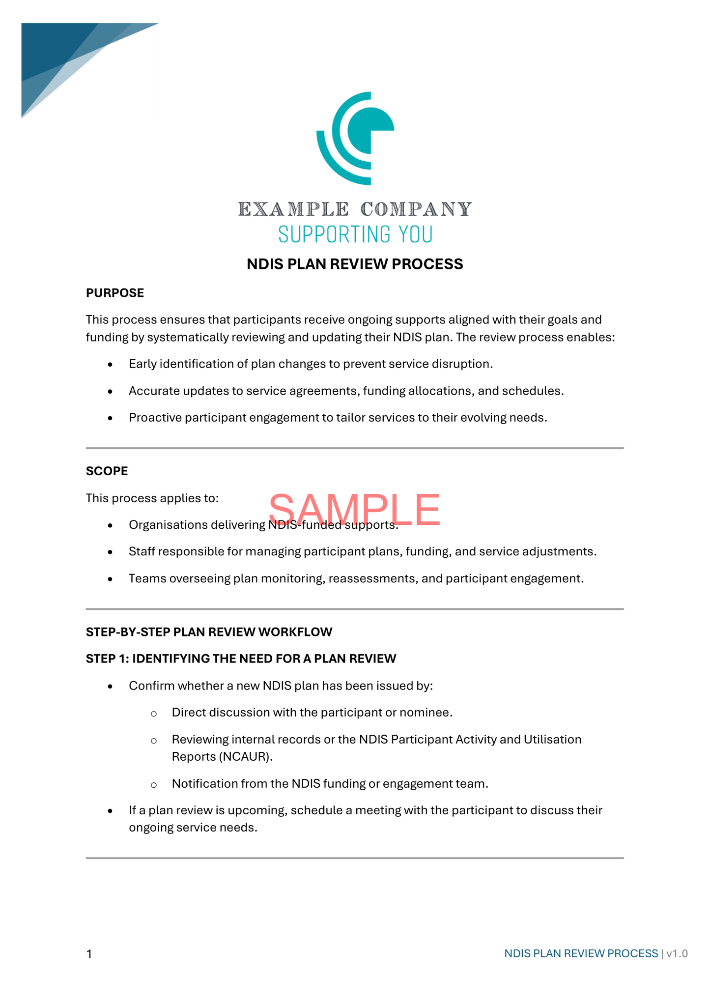 NDIS Plan Review Process - NDIS compliance document for Independent Support Workers and Providers.
