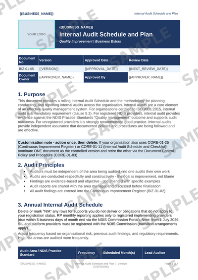 Internal Audit Schedule and Plan sample page preview