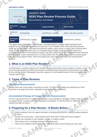 NDIS Plan Review Process Guide sample page preview